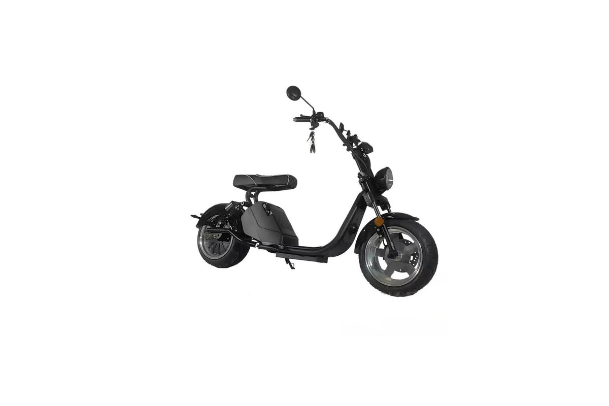 CITY COCO 3000 WATT 60 VOLT 2-SITZER