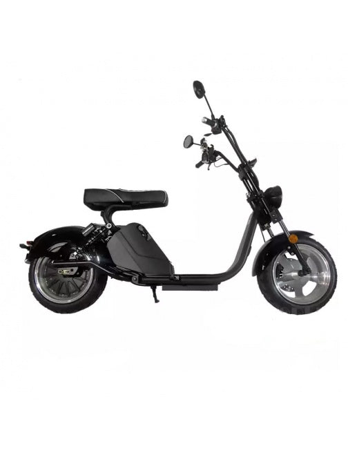 CITY COCO 3000 WATT 60 VOLT 2-SITZER