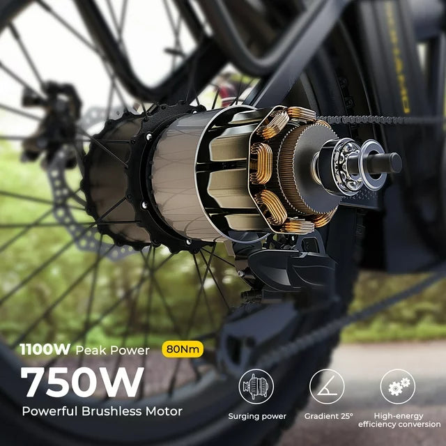 SOHAMO H3 Elektrofahrrad für Erwachsene, 20" Fat Tire Klapp-E-Bike, 750W Motor, 48V 15Ah herausnehmbarer Akku, Vorderradfederung, Shimano 7-Gang Mountainbike