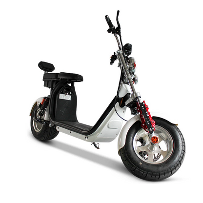 FANCO CITY COCO REIHE 2 REICHWEITE 110 KM 1500 WATT 40AH STRAßENZULASSUNG