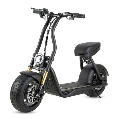 MUMBAI MAVERICK H10 ELEKTROMOTORRAD 1000W 48V 12AH